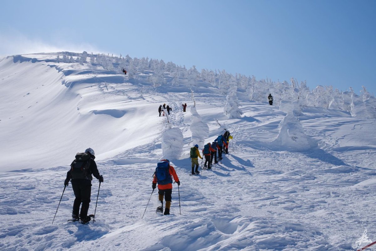 f:id:taisho_goes:20210423202132j:plain