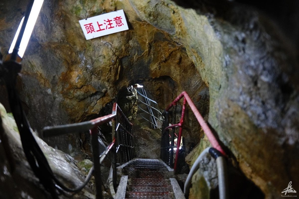 宮沢賢治 バタグルミ化石 土付き 水中保管 宮沢賢治バタグルミ化石土