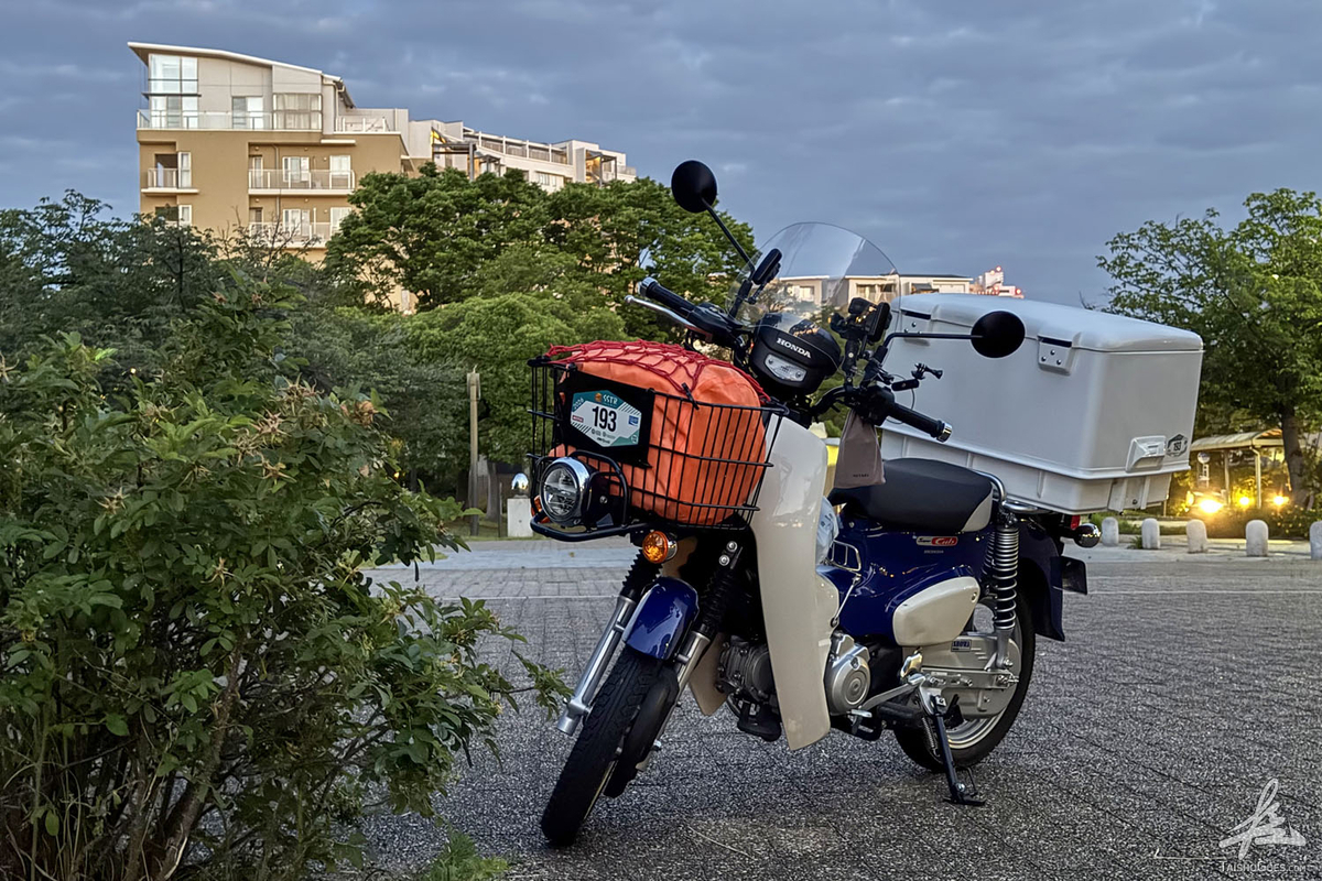 GIANT SCR1 Sサイズ　北区、戸田市付近直接受取 太陽に追いかけられて｜SSTR 2026 参戦記 - 大将がゆく