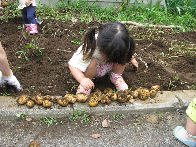 f:id:taishochikusen:20190705124313j:plain f:id:taishochikusen:20190705124313j:plain