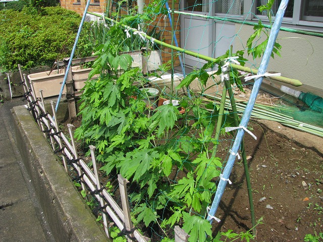 f:id:taishochikusen:20190717123510j:plain f:id:taishochikusen:20190717123510j:plain