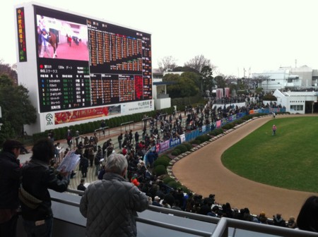 20101219中山競馬観戦オフ