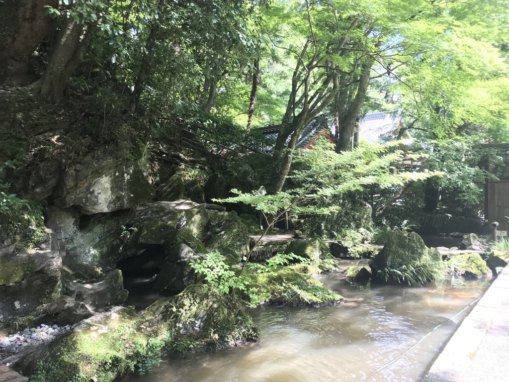 f:id:taisuke1503:20180908013657j:plain f:id:taisuke1503:20180908013657j:plain
