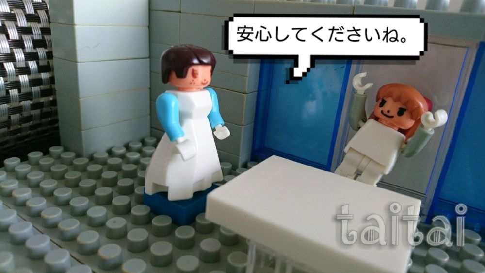 f:id:taitai39:20170619124233j:plain