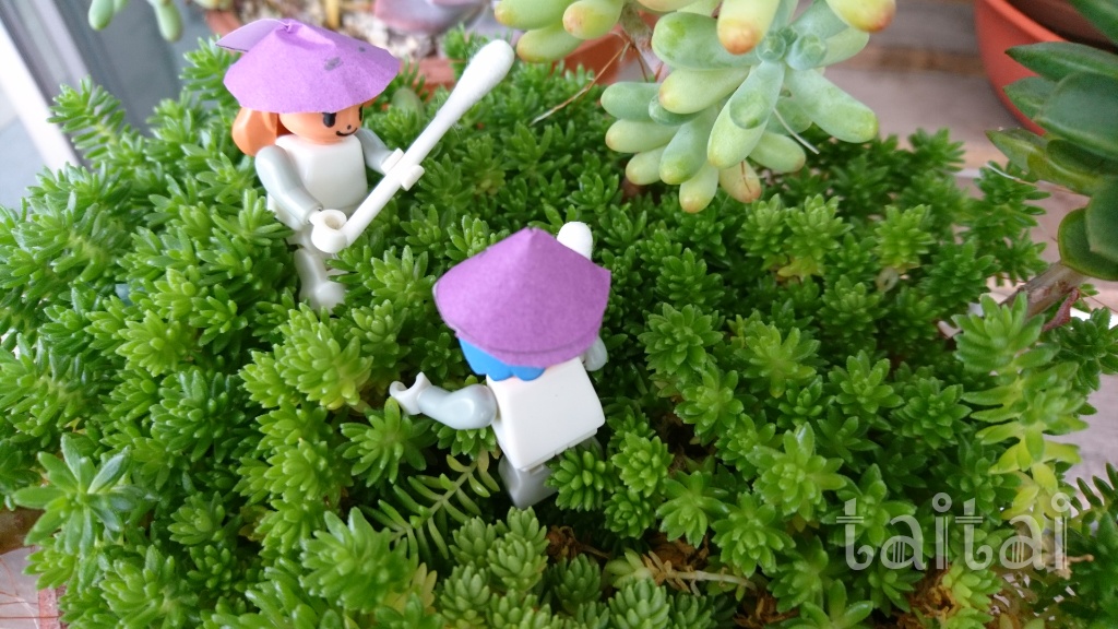 f:id:taitai39:20170811143550j:plain