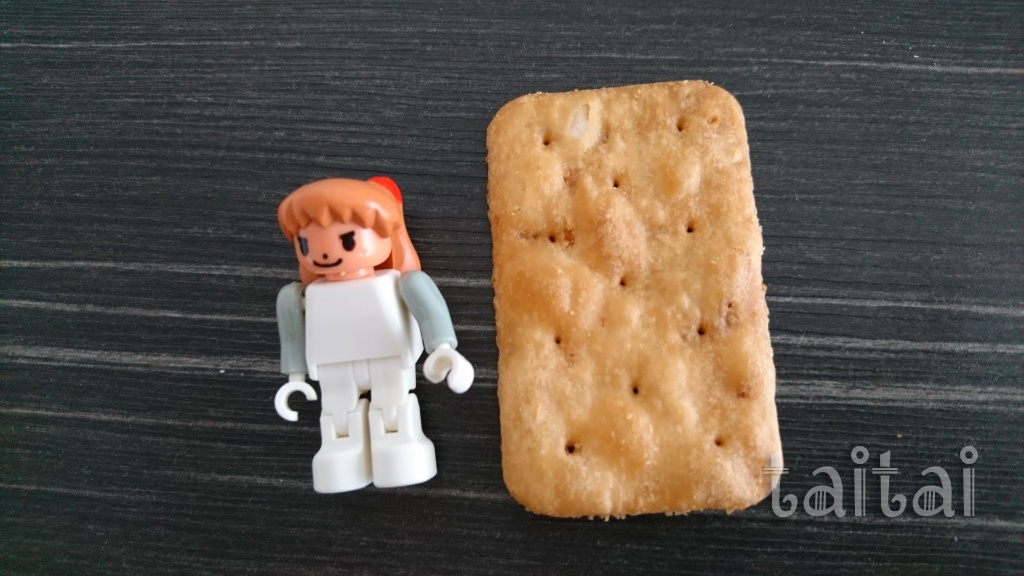 f:id:taitai39:20170908154017j:plain