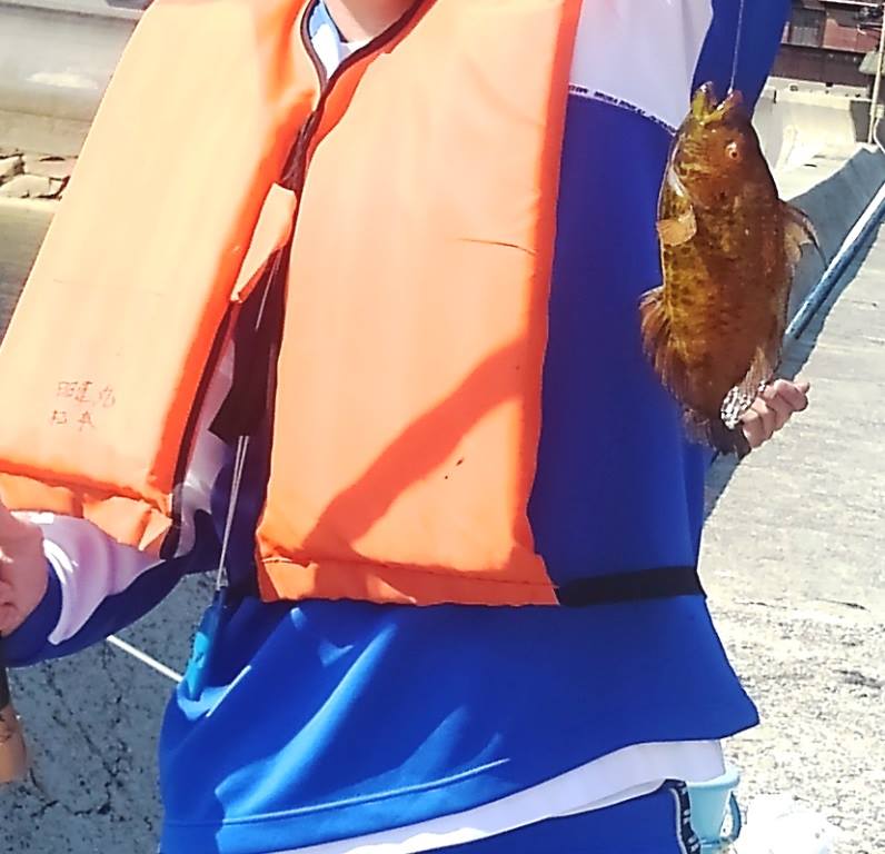 イメージ 1