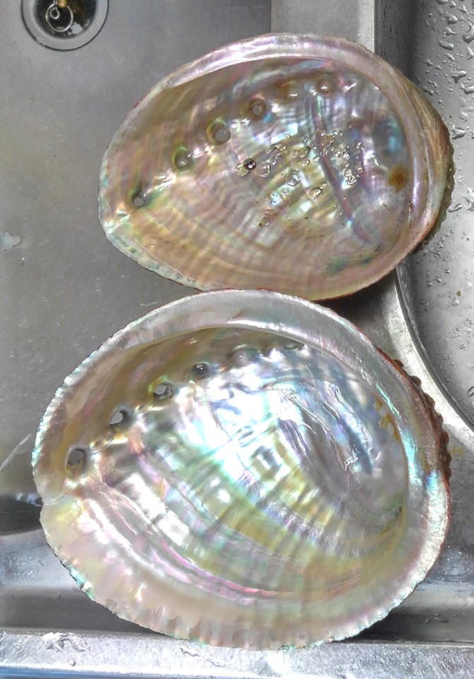 f:id:taitanuki:20190917092623j:plain f:id:taitanuki:20190917092623j:plain