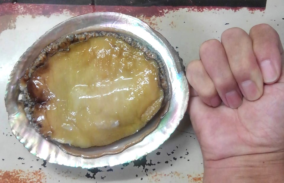 f:id:taitanuki:20190917092638j:plain f:id:taitanuki:20190917092638j:plain