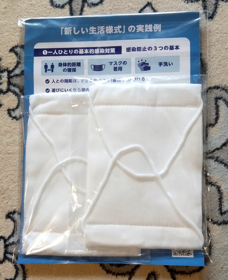 f:id:taitanuki:20200609150525j:plain f:id:taitanuki:20200609150525j:plain