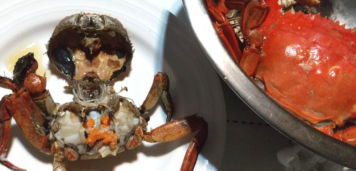 f:id:taitanuki:20210522105337j:plain