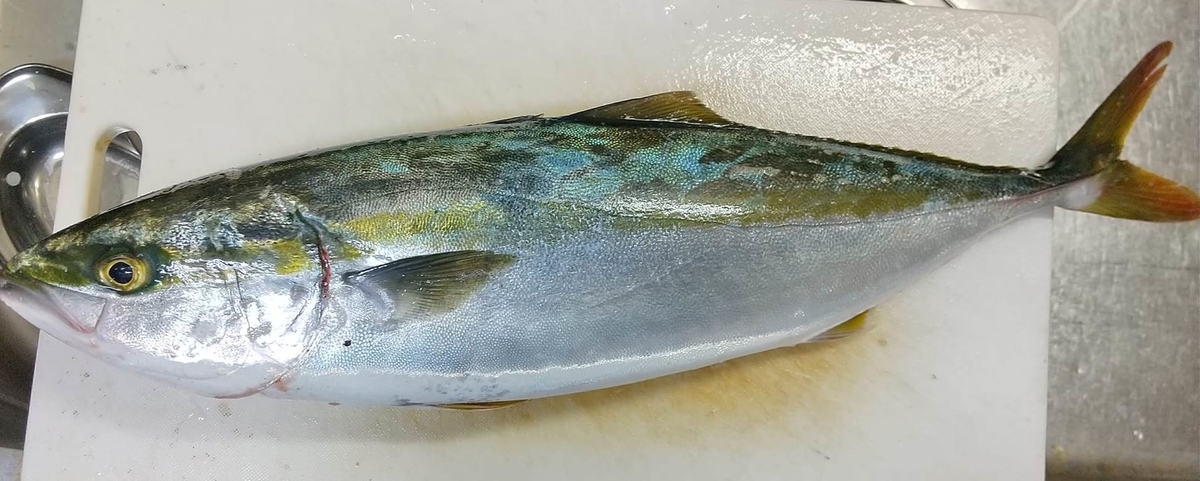 f:id:taitanuki:20211110121950j:plain