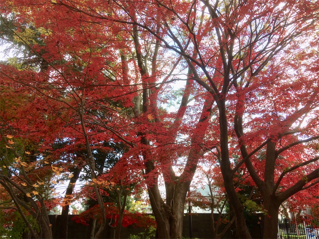 f:id:taiwacafe:20191207225801j:image
