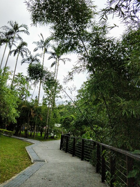 f:id:taiwaninaka:20190722090147j:image f:id:taiwaninaka:20190722090147j:image