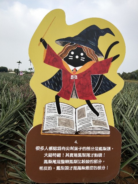 f:id:taiwaninaka:20191104192722j:image f:id:taiwaninaka:20191104192722j:image