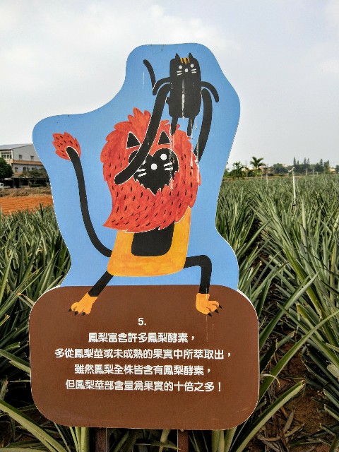f:id:taiwaninaka:20191104192801j:image f:id:taiwaninaka:20191104192801j:image