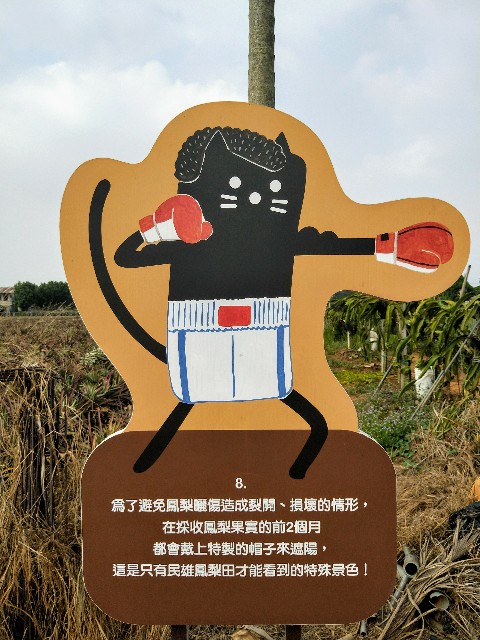 f:id:taiwaninaka:20191104192929j:image f:id:taiwaninaka:20191104192929j:image