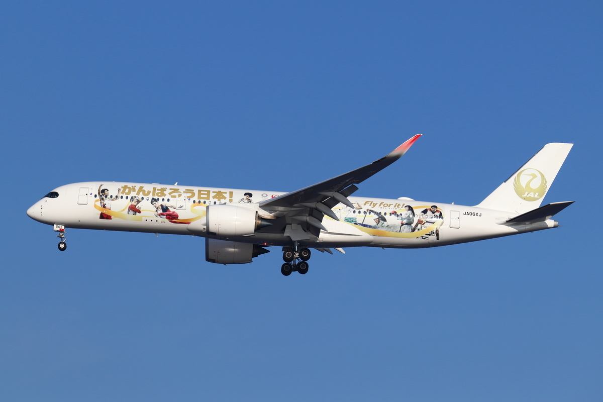 2021.11.3 羽田空港撮影記 政府専用機ほか - へんな旅行記