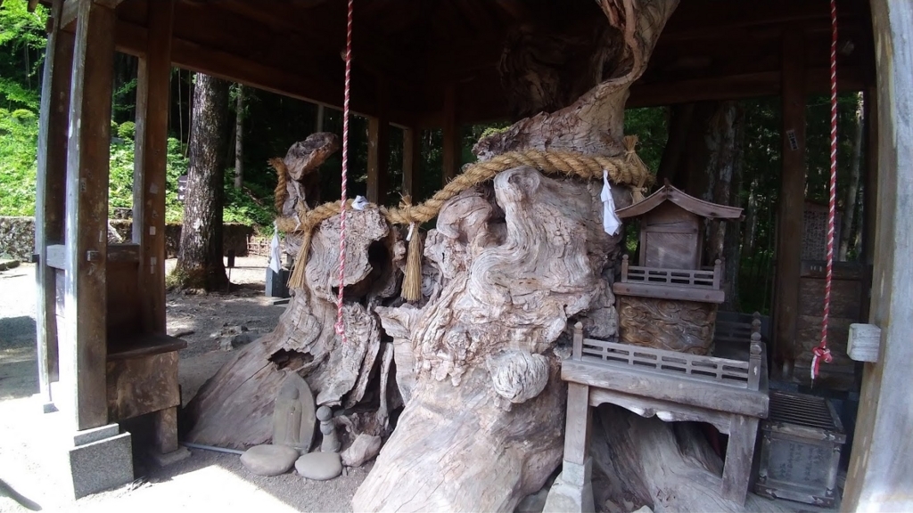 f:id:taiwanwaner:20180518194754j:plain f:id:taiwanwaner:20180518194754j:plain
