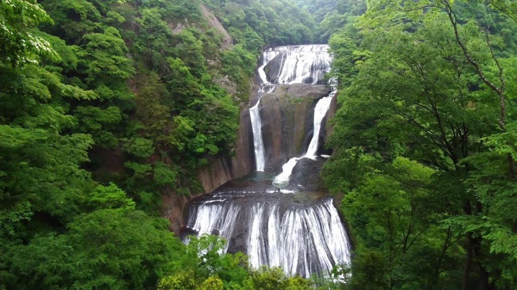 f:id:taiwanwaner:20180518200935j:plain f:id:taiwanwaner:20180518200935j:plain