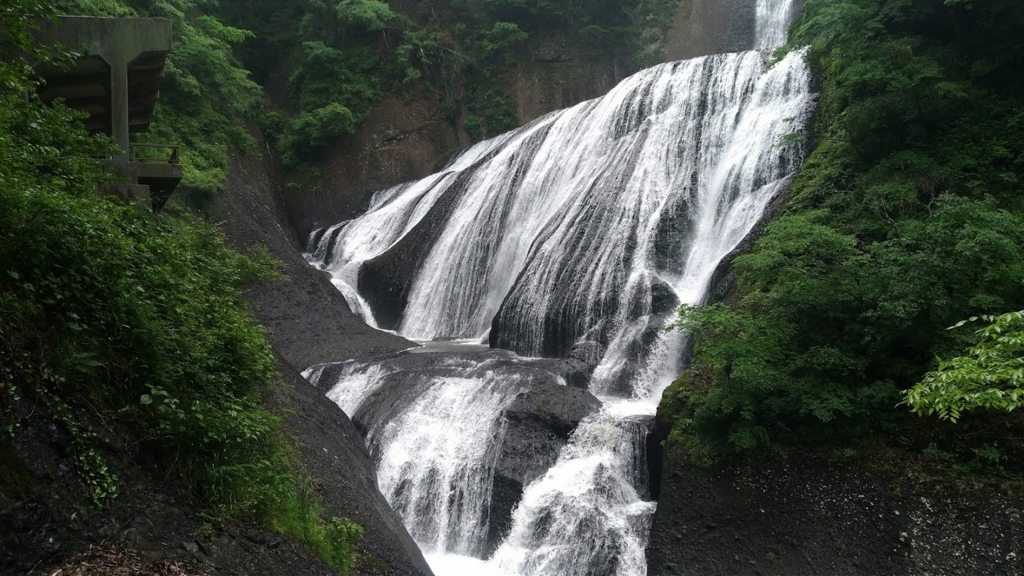 f:id:taiwanwaner:20180518201006j:plain f:id:taiwanwaner:20180518201006j:plain