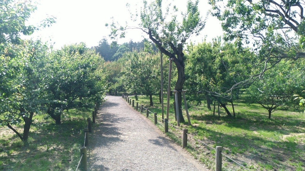 f:id:taiwanwaner:20180518201925j:plain f:id:taiwanwaner:20180518201925j:plain