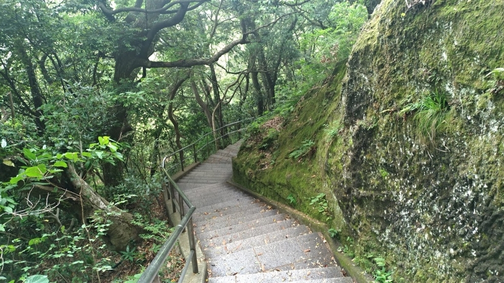 f:id:taiwanwaner:20180521145524j:plain f:id:taiwanwaner:20180521145524j:plain