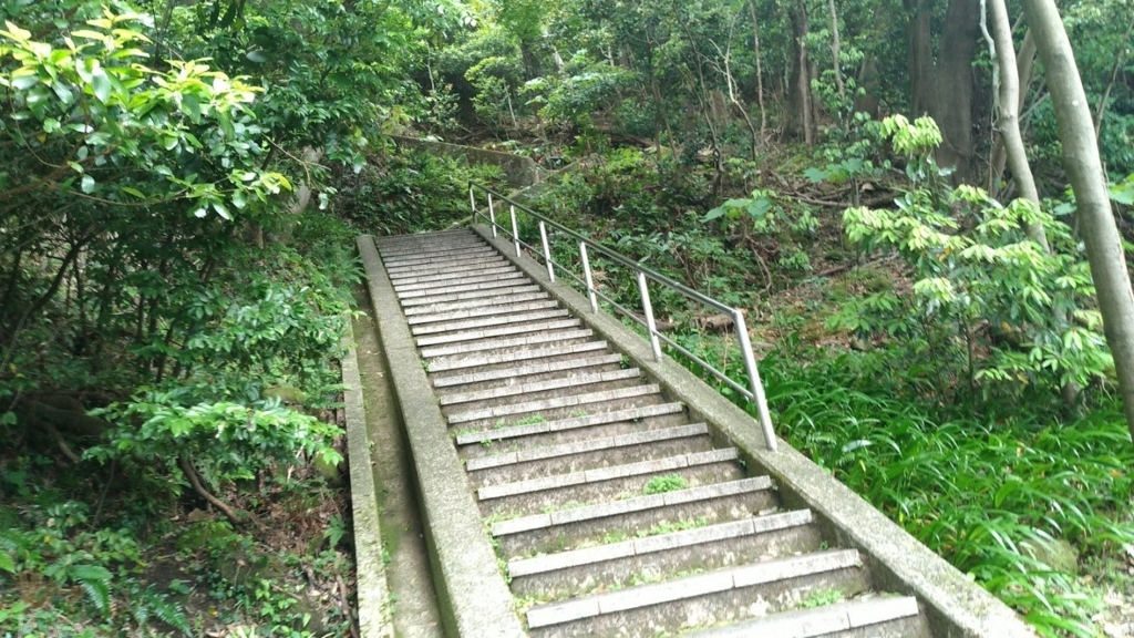 f:id:taiwanwaner:20180521145658j:plain f:id:taiwanwaner:20180521145658j:plain