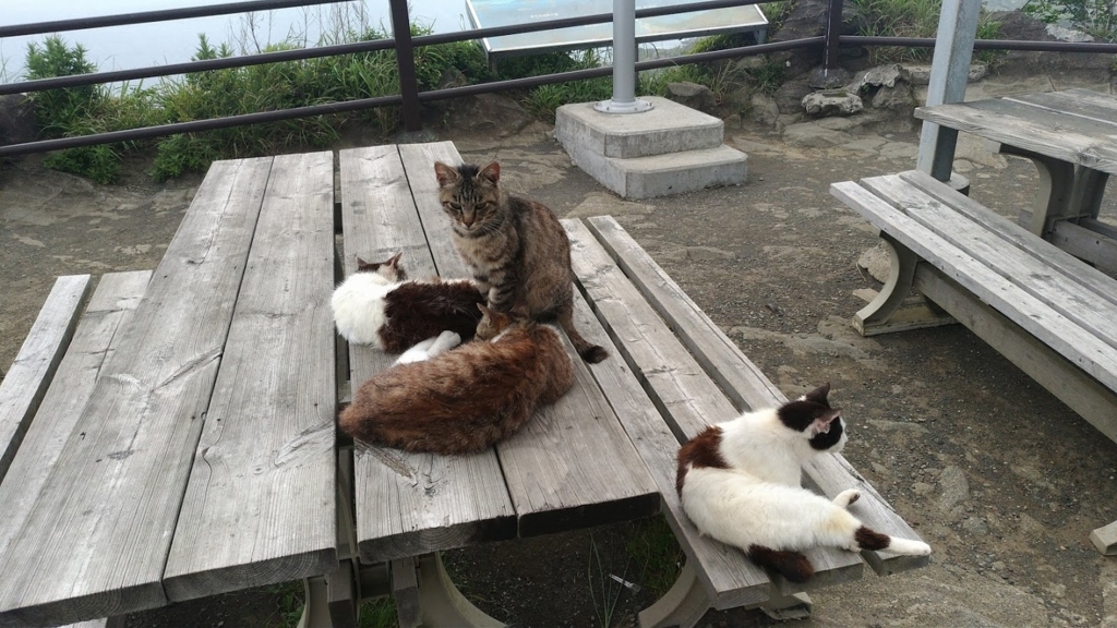 f:id:taiwanwaner:20180521150421j:plain f:id:taiwanwaner:20180521150421j:plain