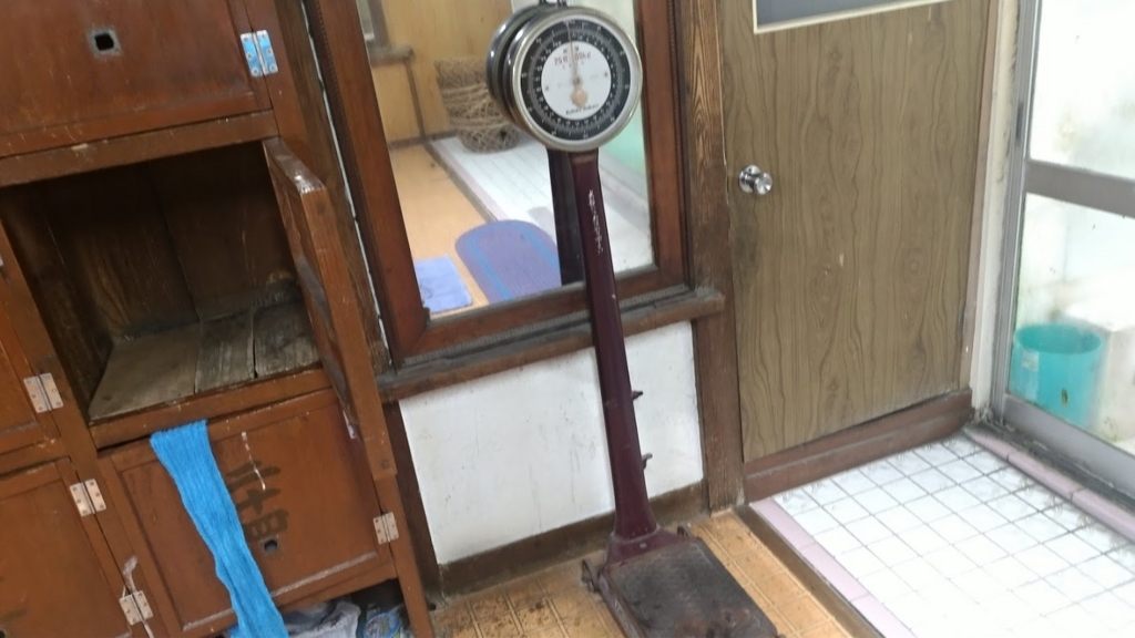 f:id:taiwanwaner:20180521152650j:plain f:id:taiwanwaner:20180521152650j:plain