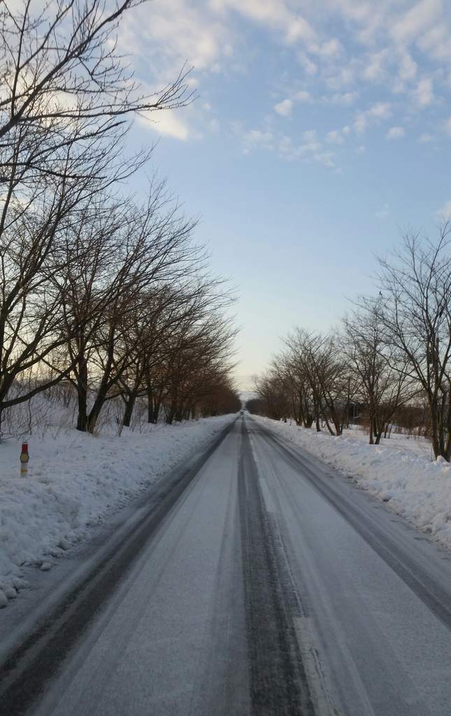 f:id:taiyaboss:20181214224634j:plain f:id:taiyaboss:20181214224634j:plain