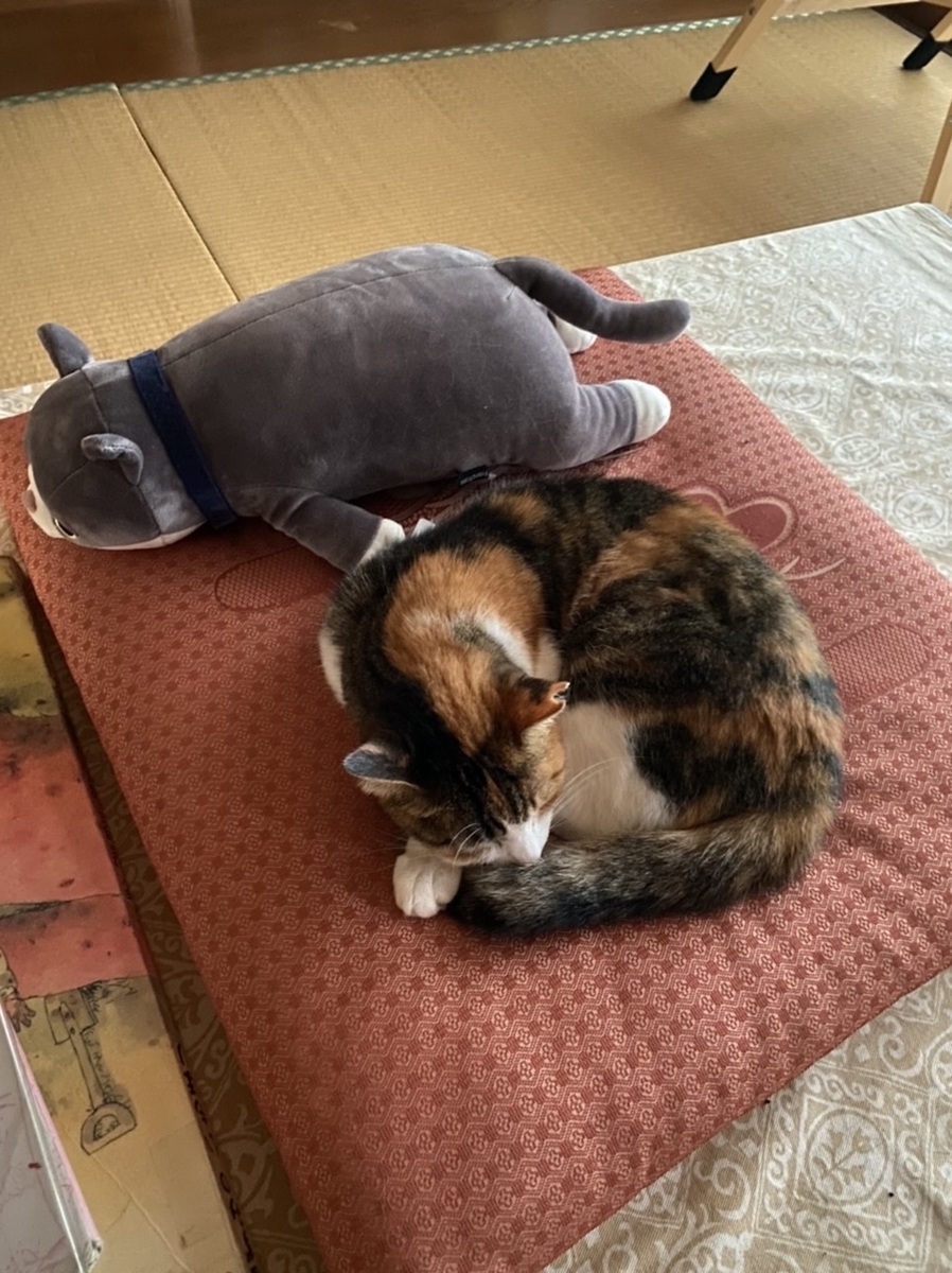 f:id:taiyakikuroann:20210701221716j:plain