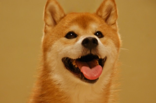 f:id:taiyoookun:20201109120809j:plain