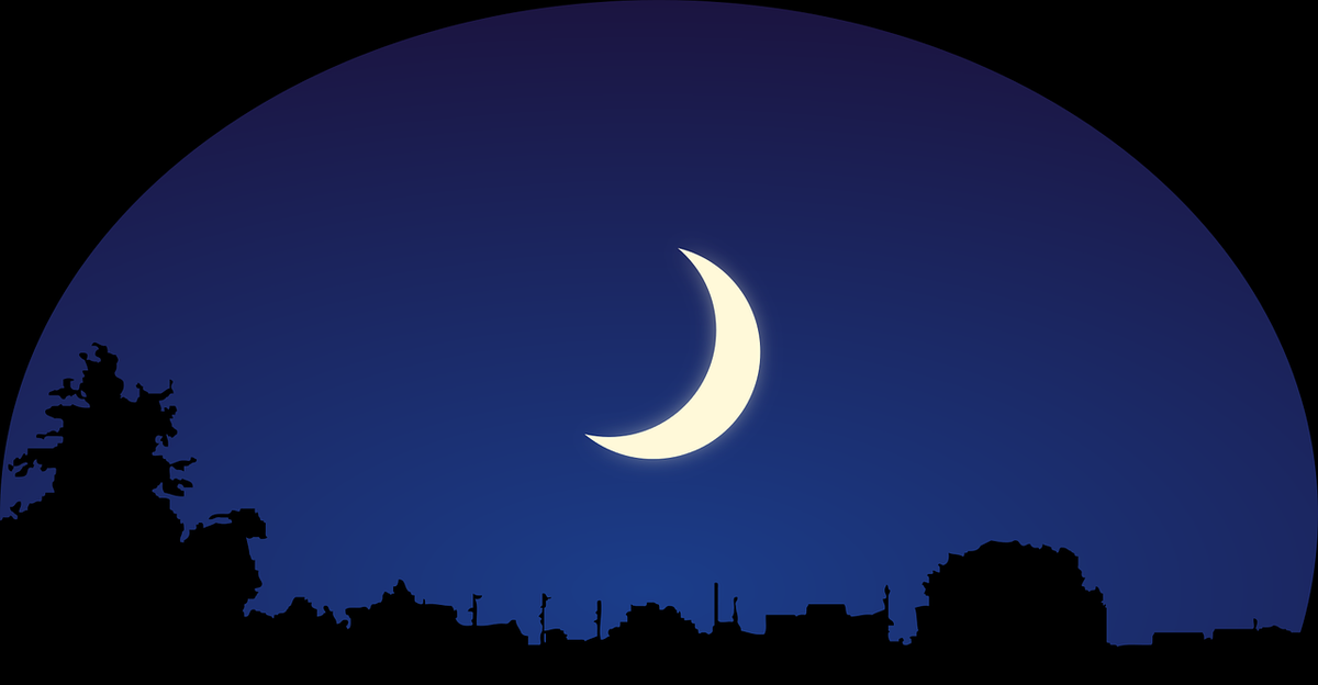 f:id:taiyoutan:20211116162441p:plain
