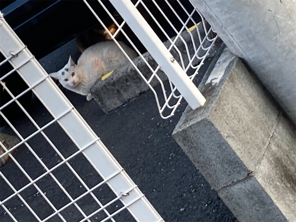 f:id:taizou0203:20240320191104j:image f:id:taizou0203:20240320191104j:image