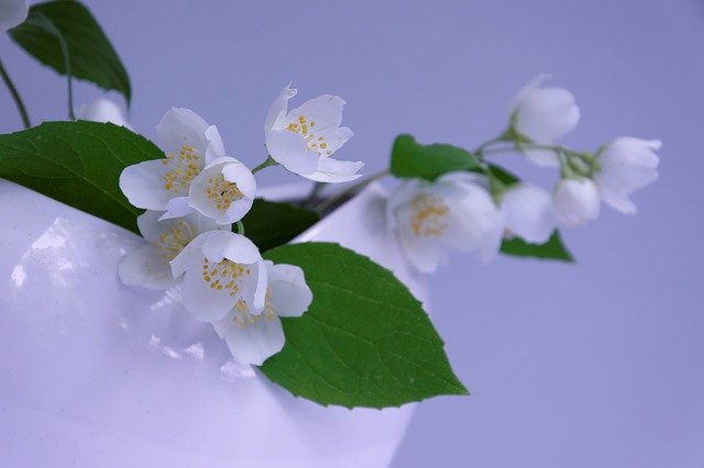 f:id:tajaaan:20220127063932j:plain