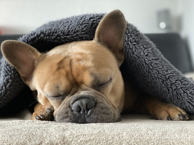 snore