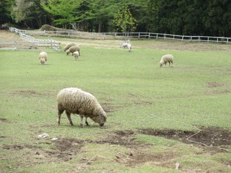 f:id:tajinko:20120501195921j:image:w360:left