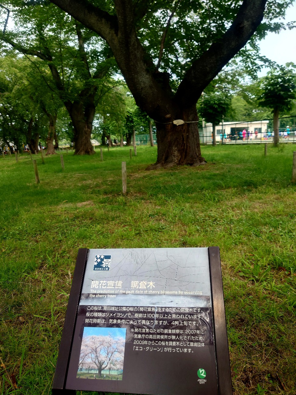 f:id:tajuyo:20260620201920j:image