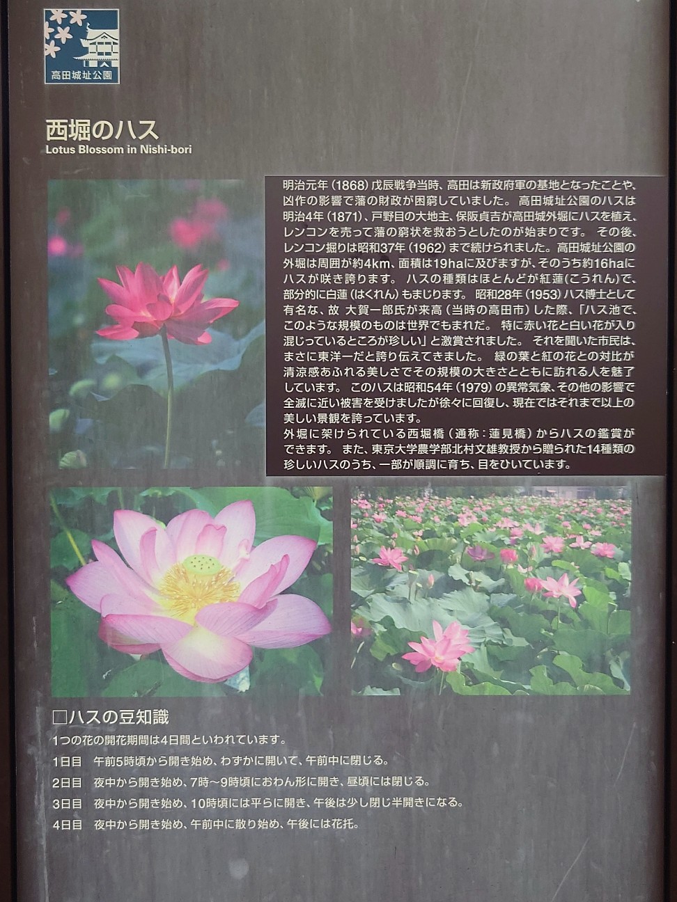 f:id:tajuyo:20260620201926j:image