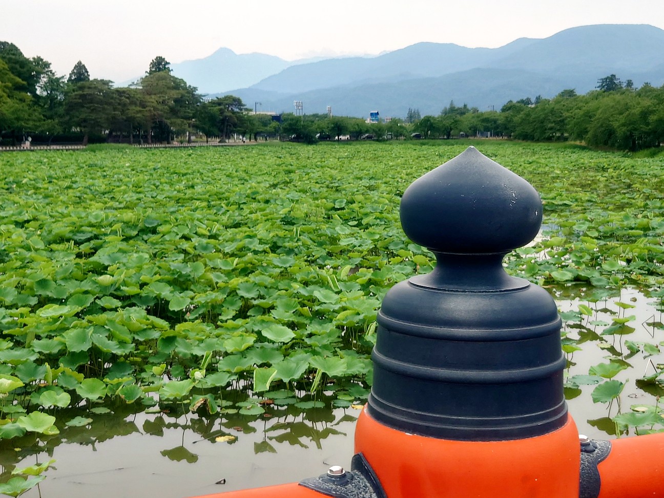 f:id:tajuyo:20260620201928j:image