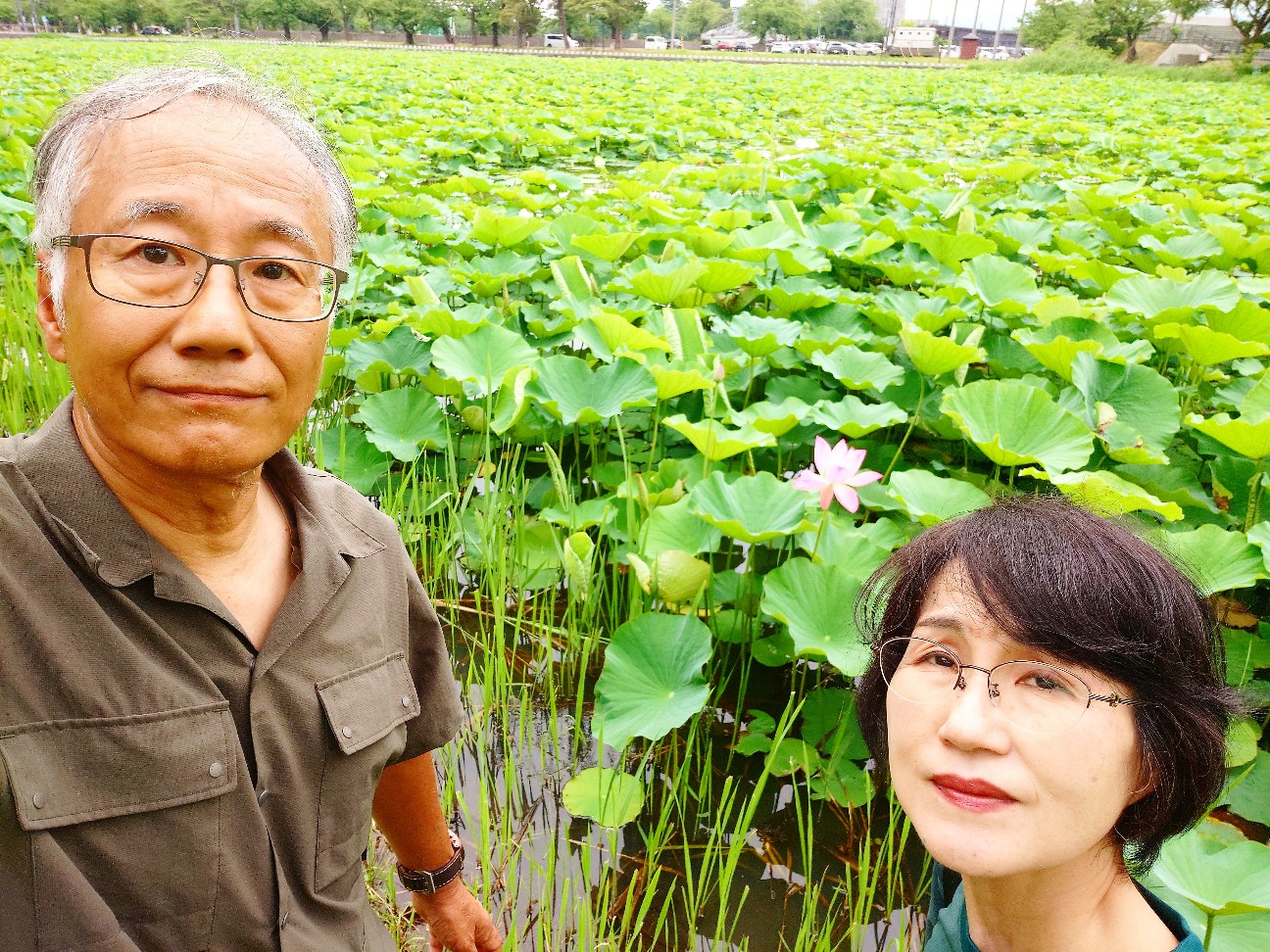 f:id:tajuyo:20260620201932j:image
