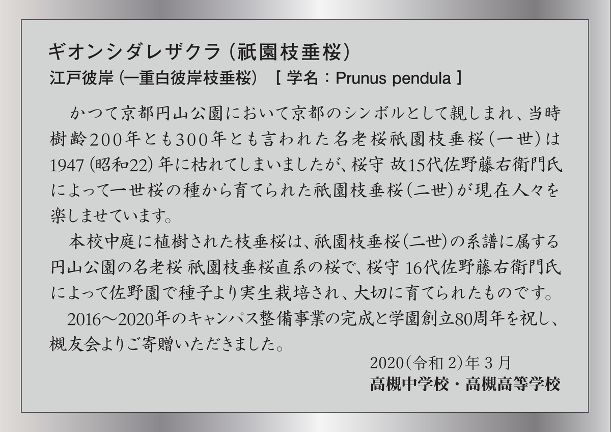 f:id:tak-kiyukai:20200721102249j:plain