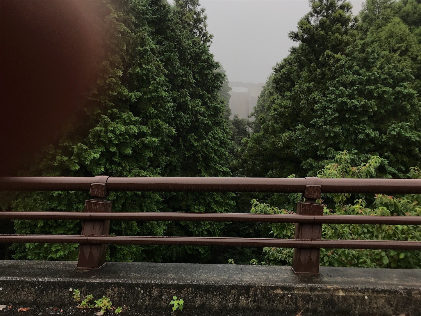 f:id:tak-s:20180908173733j:image f:id:tak-s:20180908173733j:image