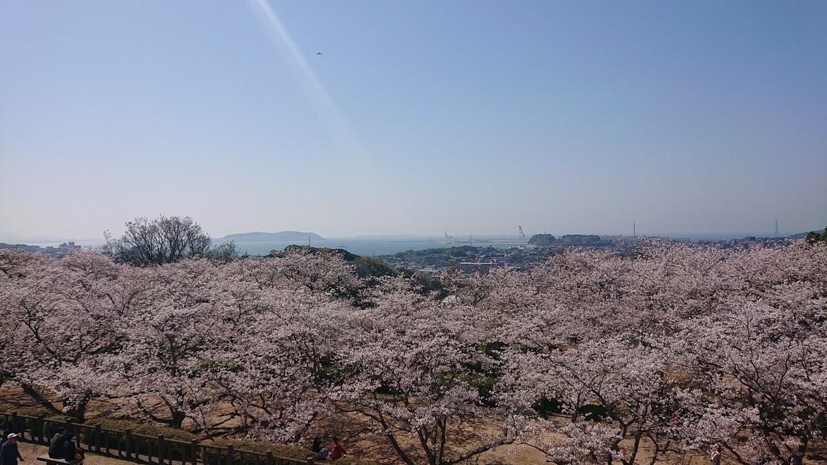 f:id:tak-s:20200404141357j:plain f:id:tak-s:20200404141357j:plain
