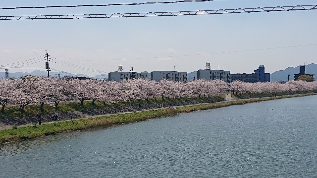 f:id:tak-s:20200405152106j:image f:id:tak-s:20200405152106j:image