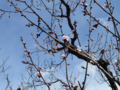 20120325101156