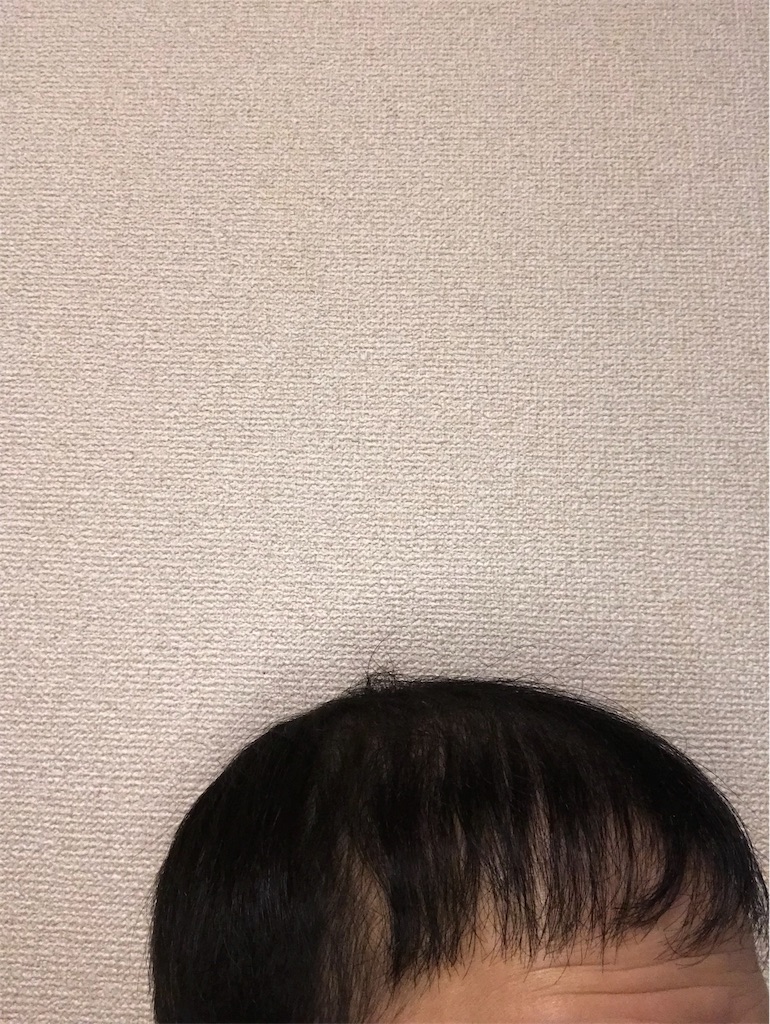 f:id:tak1783:20181229103614j:image