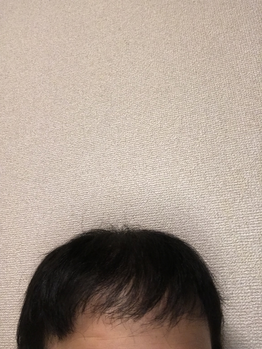 f:id:tak1783:20190330115015j:plain
