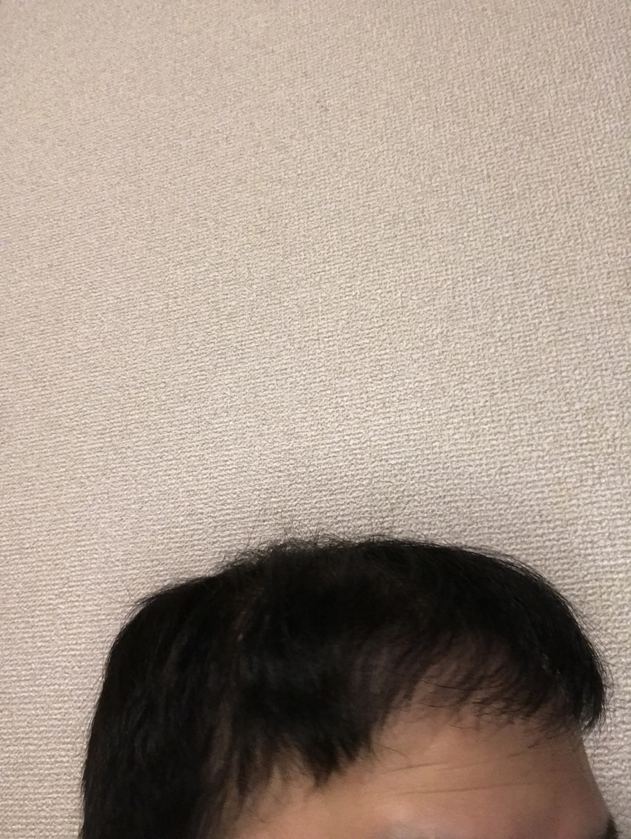 f:id:tak1783:20190330115045j:plain